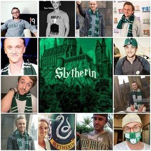 Meet your Posher, Katy